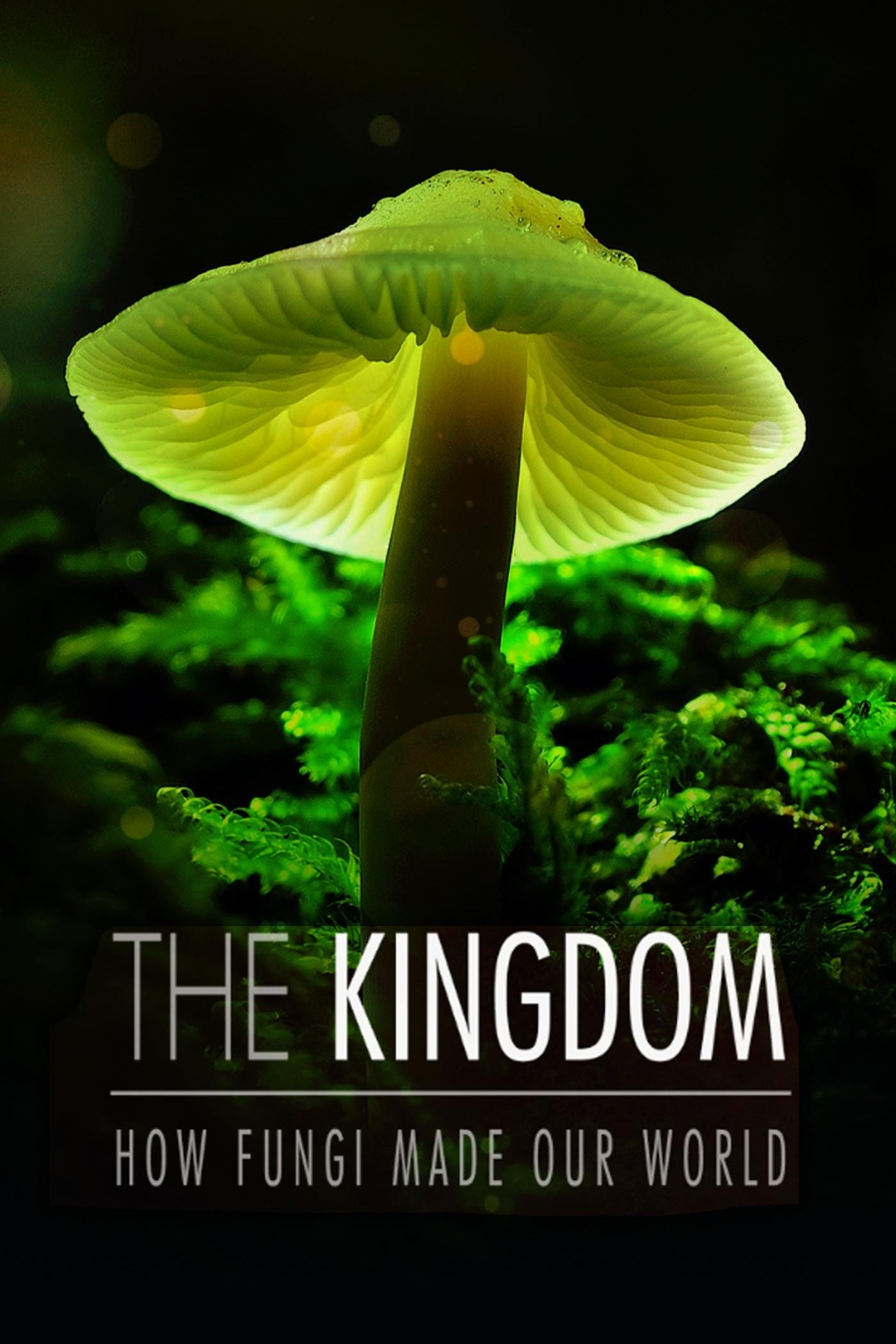 Королівство. Як гриби створили наш світ